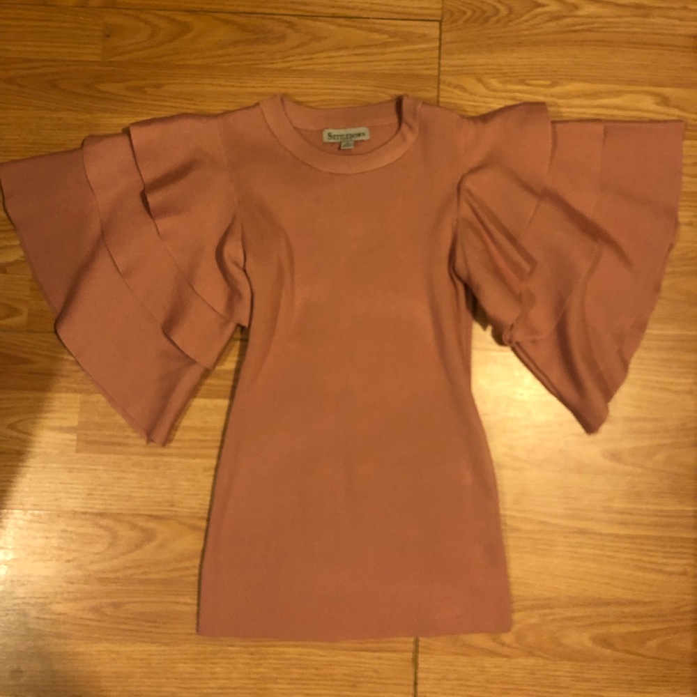 Flutter Sleeve, Blush Sweater Blouse 💞